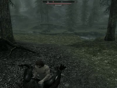 Skyrim Sexlab New Animations WIP